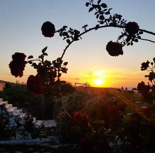 Apartament Alexandra