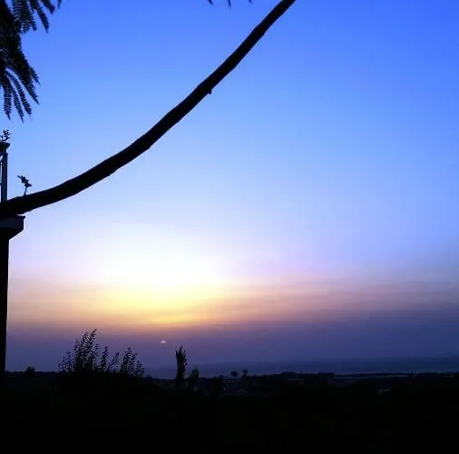 Alexandra * Kalavárda