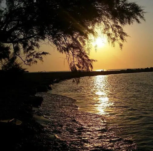 Alexandra Kalavárda