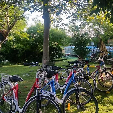 Apartmán Alexandra Kalavárda