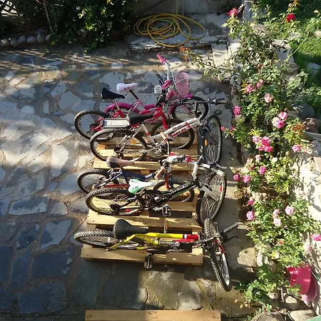 Alexandra Kalavárda