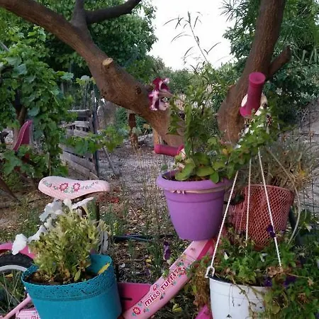 Alexandra Kalavárda