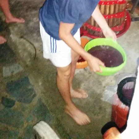 Lägenhet Alexandra Kalavárda