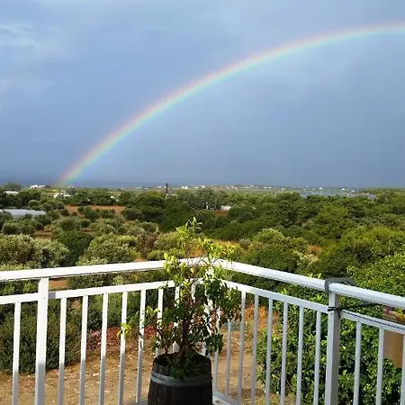 Alexandra Kalavárda