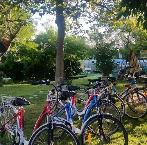 Lägenhet Alexandra Kalavárda