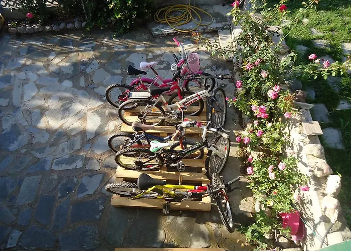 Alexandra Kalavárda