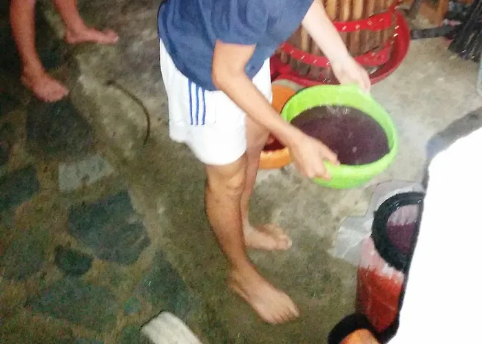 아파트 Alexandra Kalavárda