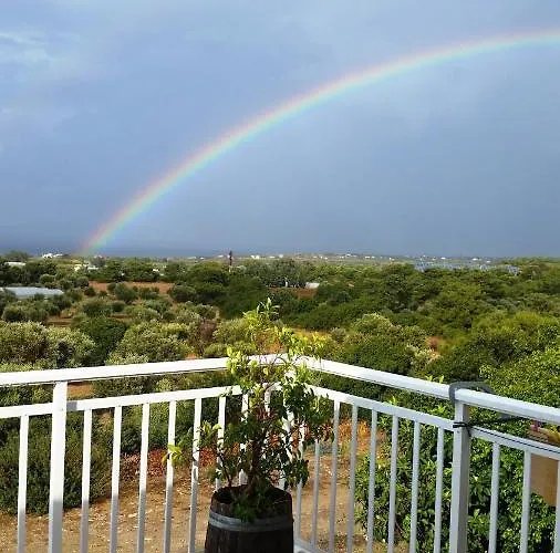 Alexandra Kalavárda