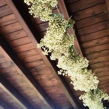 Appartement Alexandra Kalavárda