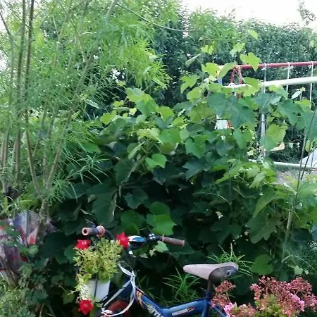 Appartement Alexandra *