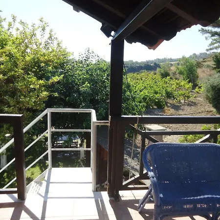 Alexandra * Kalavárda