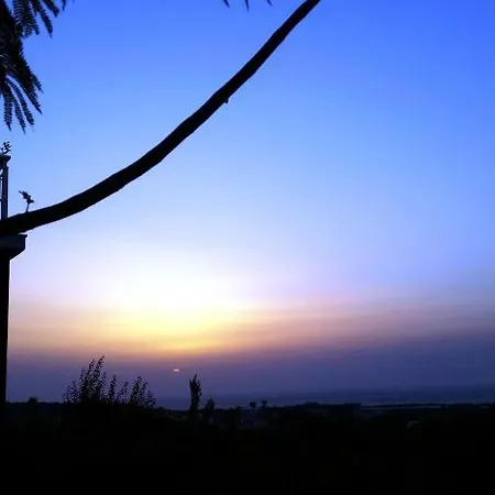 Alexandra * Kalavárda