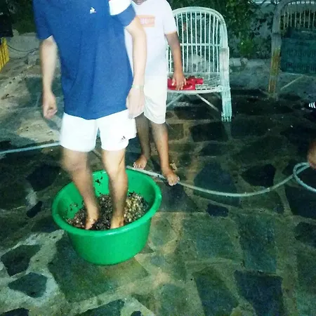 Appartement Alexandra *