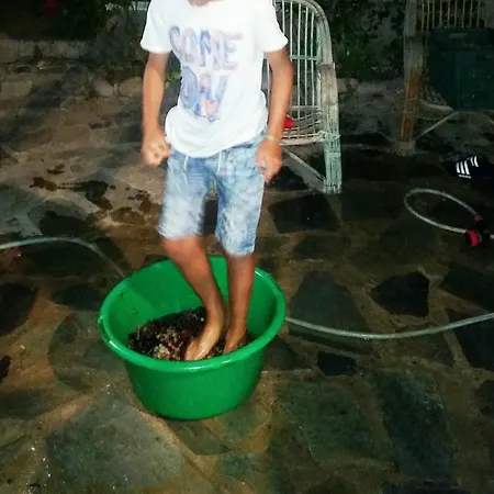 Alexandra Appartement