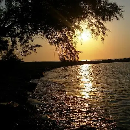 Alexandra Kalavárda