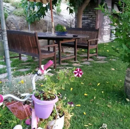 Alexandra * Kalavárda