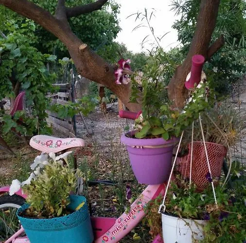 Alexandra Kalavárda