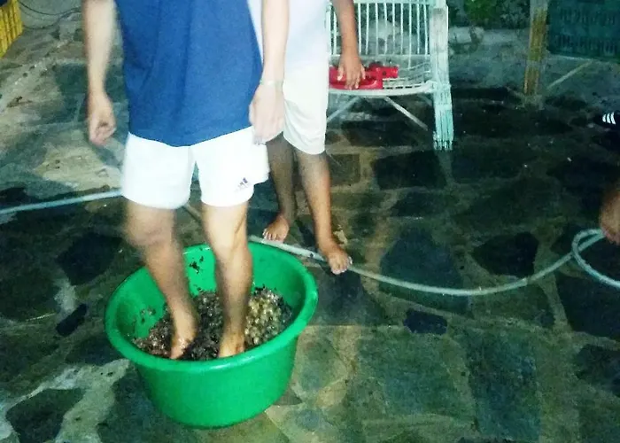 דירה Alexandra *